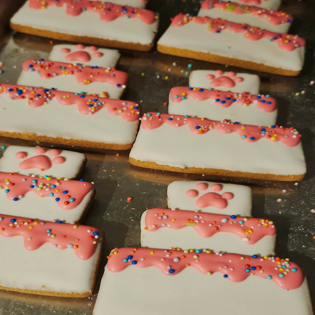 Birthday Cake Dog Cookie
